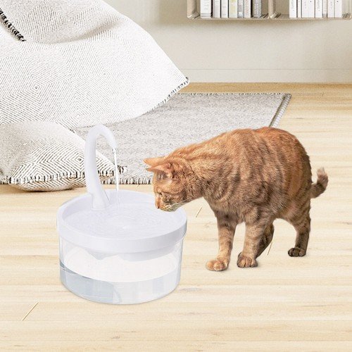 2L Pet Cat Water Fountain