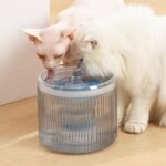 Automatic Loop BPA-free Pet Water Fountain