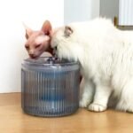 Automatic Loop BPA-free Pet Water Fountain