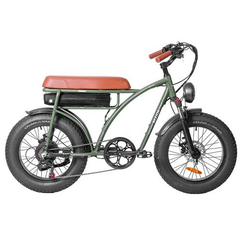 Bezior XF001 Retro Electric Bike 1000W 12.5Ah 48V 20 Inch Green