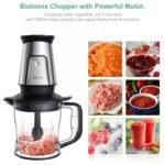 BioloMix TB23M 3-in-1 Multifunctional Food Processor