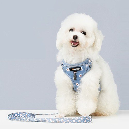 DOGNESS Harness Dog Leash Sets