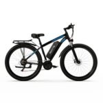 DUOTTS C29 Electric Bike 750W Mountain Bike 2*48V 15Ah Batteries