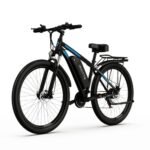 DUOTTS C29 Electric Bike 750W Mountain Bike 2*48V 15Ah Batteries