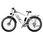 DUOTTS F26 Electric Bike 26 Inch 55Km/h 20Ah 750W*2 Dual Motors Silver