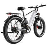 DUOTTS F26 Electric Bike 26 Inch 55Km/h 20Ah 750W*2 Dual Motors Silver