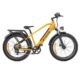 ENGWE E26 Electric Bike Step-over 48V 16AH 250W Motor 25km/h Yellow