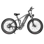 ESKUTE ES-26-RWXD 750W 20Ah Electric Bike Black