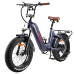 FAFREES F20 Master E-bike 20*4.0 Tire 500W Motor Aurora Grey