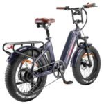 FAFREES F20 Master E-bike 20*4.0 Tire 500W Motor Aurora Grey