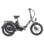 FAFREES F20 Mate Electric Tricycle Black
