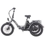 FAFREES F20 Mate Electric Tricycle Black