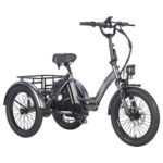FAFREES F20 Mate Electric Tricycle Black