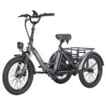 FAFREES F20 Mate Electric Tricycle Black