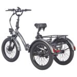 FAFREES F20 Mate Electric Tricycle Black