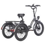 FAFREES F20 Mate Electric Tricycle Black