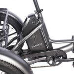 FAFREES F20 Mate Electric Tricycle Black