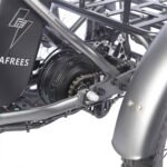 FAFREES F20 Mate Electric Tricycle Black