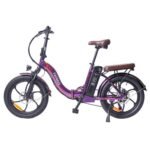 Fafrees F20 Pro Electric Bike 20 Inch 25Km/h 36V 18AH 250W - Purple