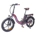 Fafrees F20 Pro Electric Bike 20 Inch 25Km/h 36V 18AH 250W - Purple