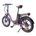 Fafrees F20 Pro Electric Bike 20 Inch 25Km/h 36V 18AH 250W - Purple