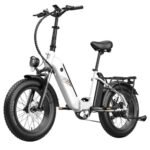 Fafrees FF20 Polar E-Bike 40Km/h 500W 48V 10.4AH Dual Battery White