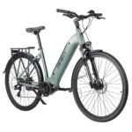 Fafrees FM9 City Ebike 700C Tire 25Km/h 36V 15AH 250W Mid-Motor Green