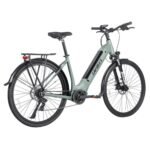 Fafrees FM9 City Ebike 700C Tire 25Km/h 36V 15AH 250W Mid-Motor Green