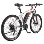 Fafrees Hailong One Electric Bike 250W/13Ah White
