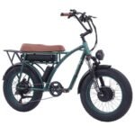 GOGOBEST GF750 Plus E-Bike 20 inch 50km/h 48V 17.5Ah Dual Motor Green