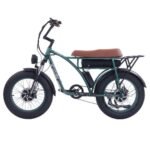 GOGOBEST GF750 Plus E-Bike 20 inch 50km/h 48V 17.5Ah Dual Motor Green
