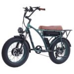 GOGOBEST GF750 Plus E-Bike 20 inch 50km/h 48V 17.5Ah Dual Motor Green