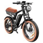 isinwheel R6 Electric Bike 250W 48V 13Ah