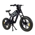 KUGOO T01 Electric Bicycle 20 Inch 48V 500W 38Km/h 13Ah Battery Black
