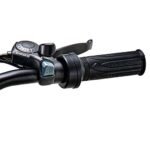 Riding' times Z8 Electric Bike 20 Inch 28MPH Speed 48V 15Ah 500W Motor