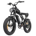 Ridstar Q20 Mini Electric Bike