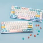 Skyloong GK61S Lite Keyboard Barebone 61keys White
