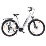 TTGO LK-ZZ-28ST Electric Bike 250W 20AH White