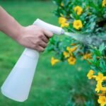 Xiaoda 900ml Portable Electric Watering Can
