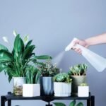Xiaoda 900ml Portable Electric Watering Can